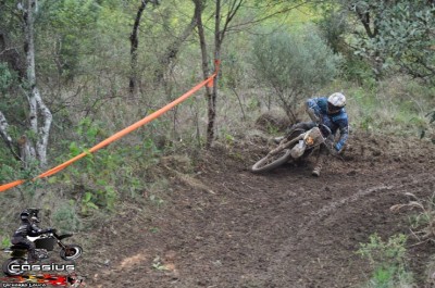 DSC_4395 copy.jpg