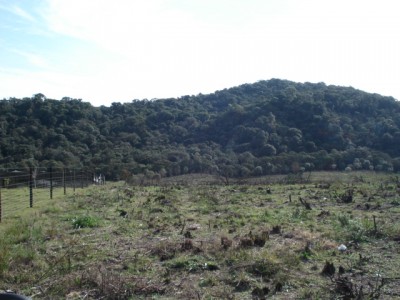 DSC02730.JPG
