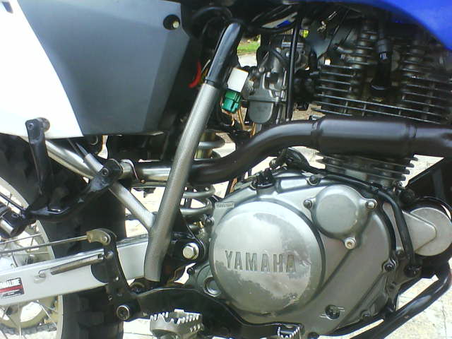 DSC00005.JPG