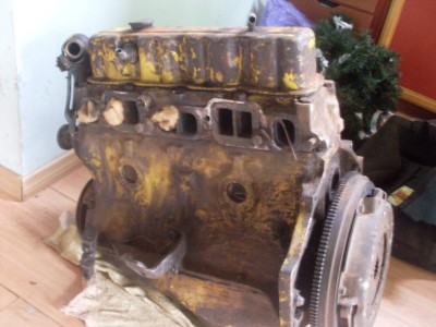 mtor1.jpg
