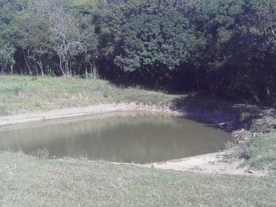 IMAG0289.JPG