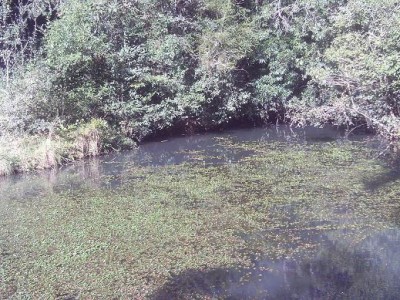 IMAG0299.JPG