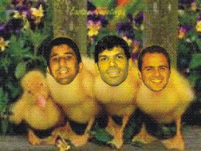 Pintinhos.jpg