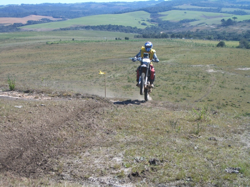 255 - PALMEIRA 2004.jpg