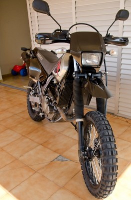 DSC_5593.jpg