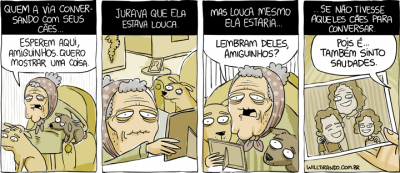 Companheiros-Equivalência.png