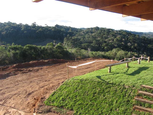 Gustavo 354 (Small).jpg