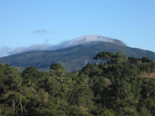 Gustavo 351 (Small).jpg