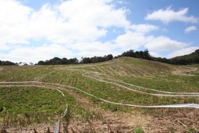 Especial Dunas web2.jpg