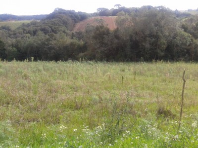 2013-07-15 14.18.21.jpg