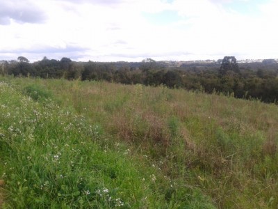 2013-07-15 14.18.11.jpg
