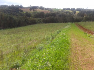 2013-07-15 14.18.00.jpg