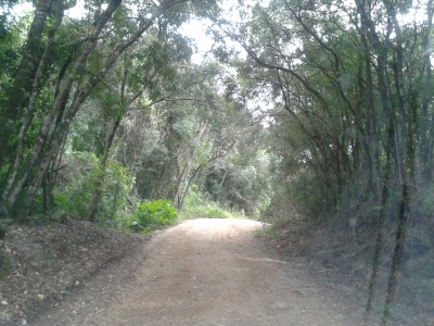 endurela 2014 004.jpg