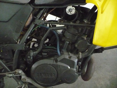 dt7.JPG