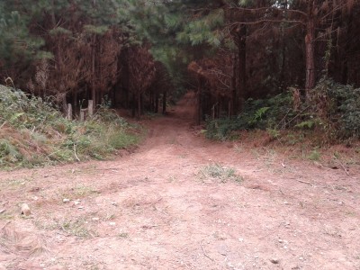 endurela 2014 1 008.jpg