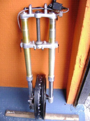 Figura1.jpg