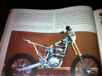 revista 5 33 pct.jpg