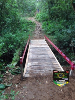 ponte.jpg