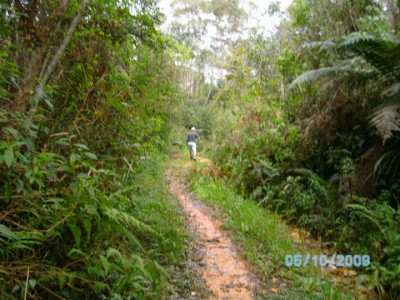 PICT1198[2].jpg
