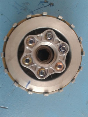 image1.JPG