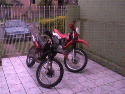 PIC_0377.GIF
