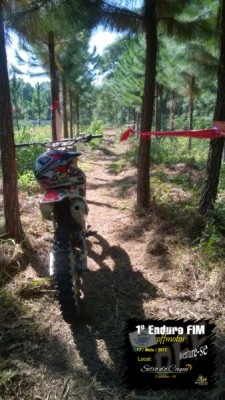 foto10.jpg