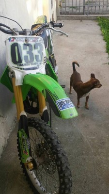 kx1.jpg