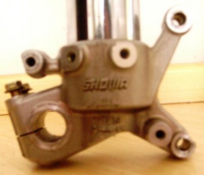 SL730257.JPG