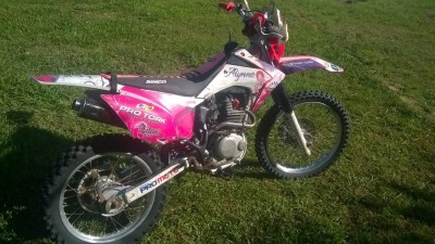 CRF230_3.jpg