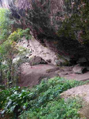 Borbo20161103_092225.jpg