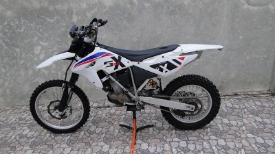 BMW G 450X