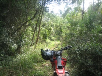 FIM 2010 1 (427 x 320).jpg