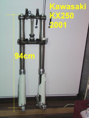 Ref 242.jpg